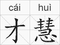 才慧的拼音