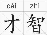 才智的拼音