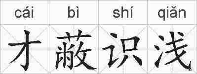 才蔽识浅的拼音