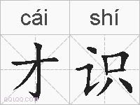 才识的拼音