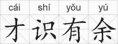 才识有余的拼音