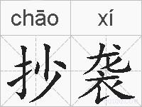 抄袭的拼音