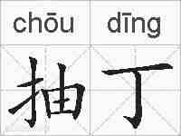抽丁的拼音