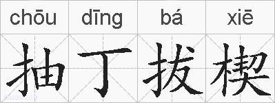 抽丁拔楔的拼音