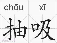 抽吸的拼音