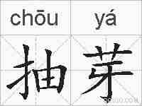 抽芽的拼音