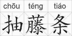抽藤条的拼音