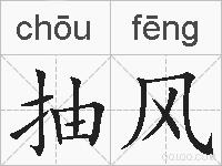 抽风的拼音