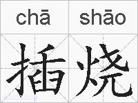 插烧的拼音