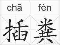 插粪的拼音