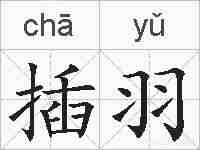 插羽的拼音
