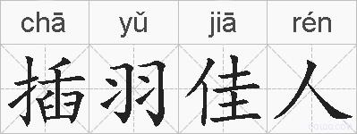插羽佳人的拼音