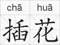 插花的拼音