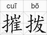 摧拨的拼音