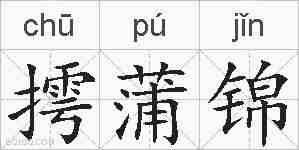 摴蒲锦的拼音