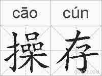 操存的拼音