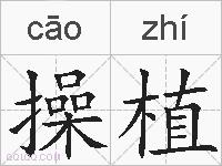 操植的拼音