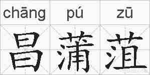 昌蒲菹的拼音
