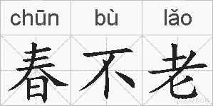 春不老的拼音