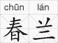 春兰的拼音