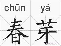 春芽的拼音