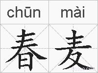 春麦的拼音