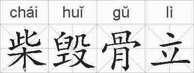 柴毁骨立的拼音