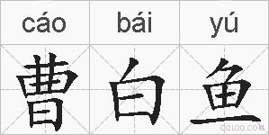曹白鱼的拼音
