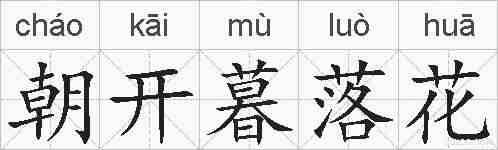 朝开暮落花的拼音