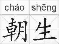 朝生的拼音