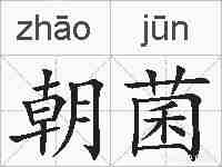 朝菌的拼音
