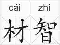 材智的拼音