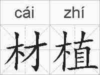材植的拼音