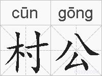 村公的拼音