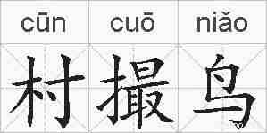村撮鸟的拼音