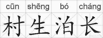 村生泊长的拼音