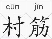 村筋的拼音