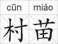 村苗的拼音