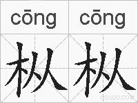 枞枞的拼音