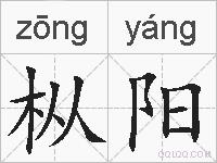 枞阳的拼音