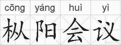 枞阳会议的拼音