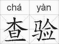 查验的拼音