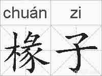 椽子的拼音