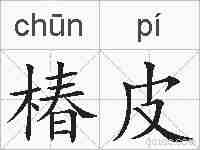 椿皮的拼音