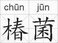 椿菌的拼音