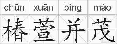 椿萱并茂的拼音