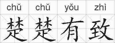 楚楚有致的拼音