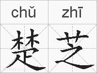 楚芝的拼音