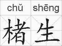楮生的拼音