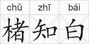 楮知白的拼音